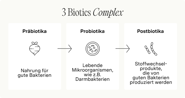 infografik über prä-, pro- und postbiotika