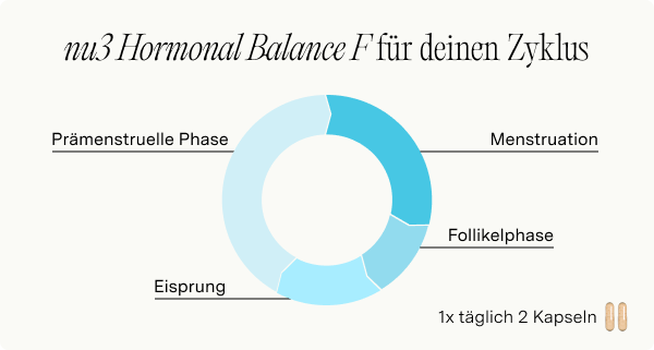 Abbildung der Zylklusphasen