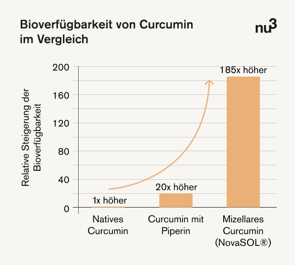 Bioverfügbarkeit von Curcumin im Vergleich
