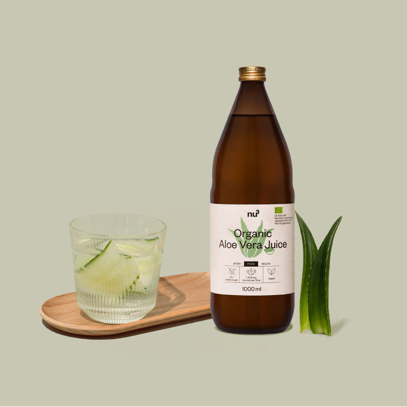 bauhaus aloe vera pflanze Aloe Vera Barbadensis (Alter 5-6 Jahre) – Secret Garden Plant Shop