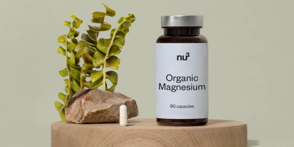 Magnesium Dose plus Kapsel neben Meerlattich-Pflanze